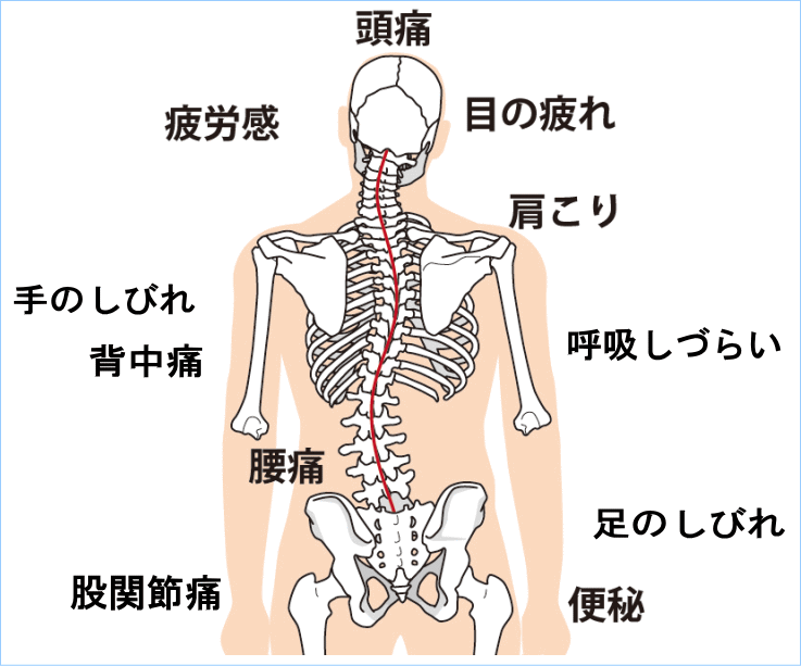 整体,症状別